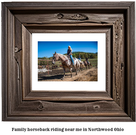 family horseback riding near me in Northwood, Ohio